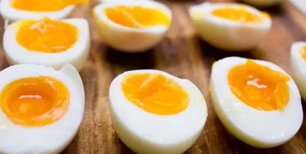 pros e contras da dieta de ovos